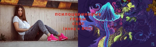 прущие грибы Магадан