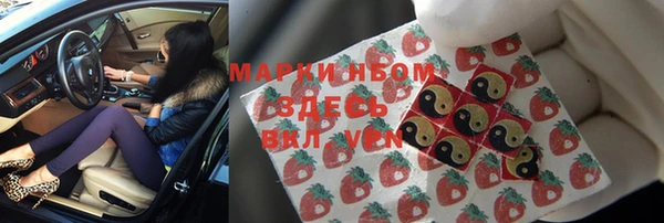 прущие грибы Магадан