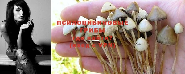 ALPHA-PVP Майский