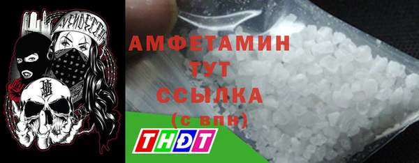 прущие грибы Магадан