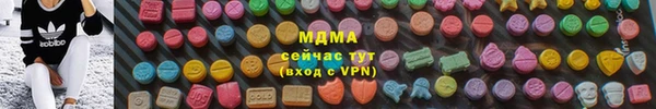 прущие грибы Магадан