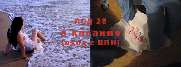 прущие грибы Магадан