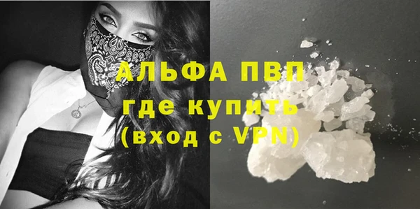 прущие грибы Магадан