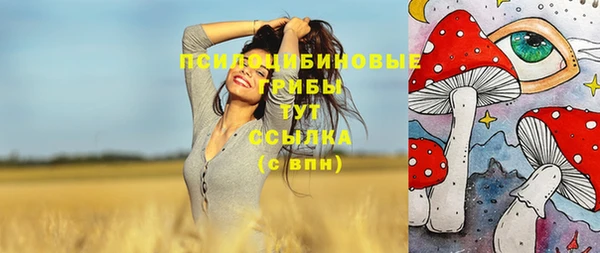 прущие грибы Магадан