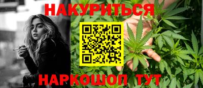 крисы Донской