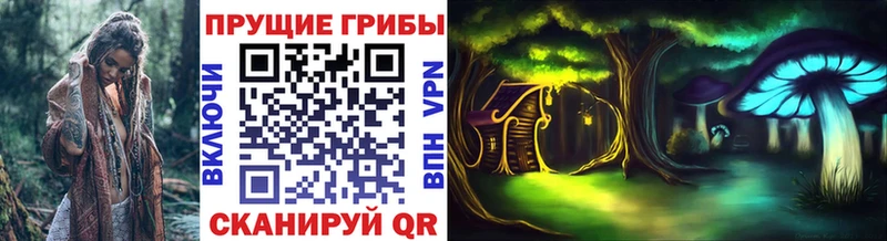 Псилоцибиновые грибы мицелий Балашов