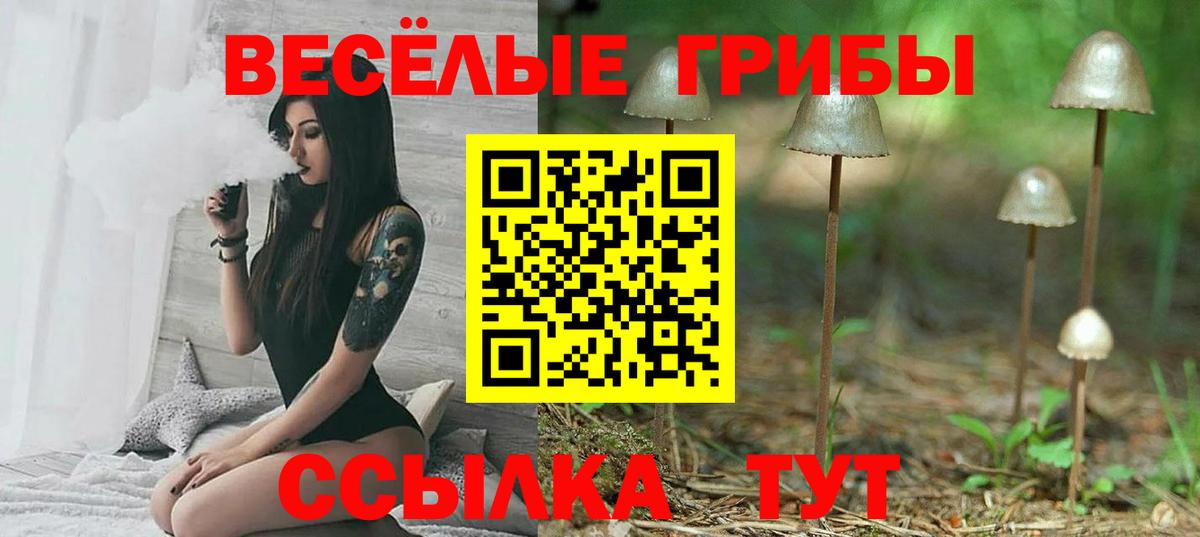 Галлюциногенные грибы мухоморы  Вход с VPN  Псилоцибиновые грибы Magic Shrooms  Балашов 